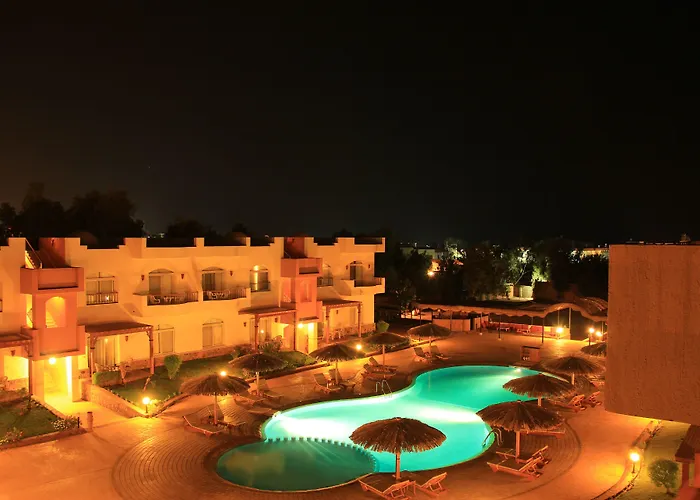 Sheikh Ali 3*