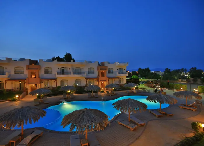 Sheikh Ali 3*