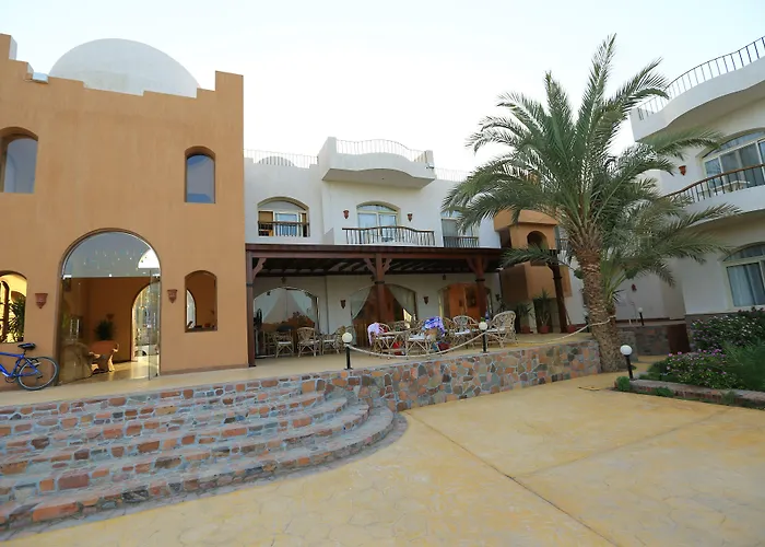 Sheikh Ali 3*