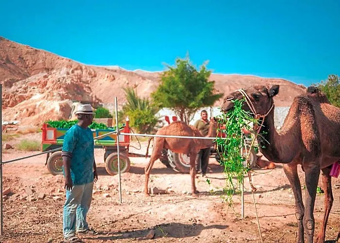 Sheikh Ali 3* Dahab