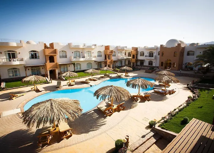 Sheikh Ali 3*